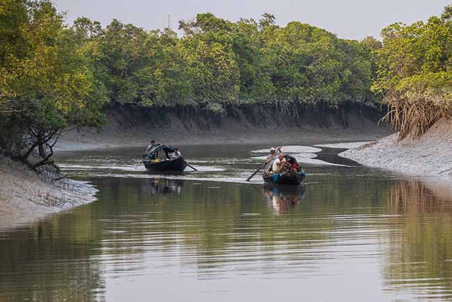 sundarban-luxury-tour