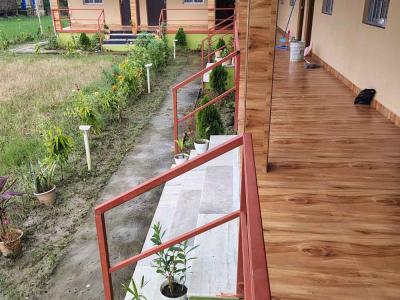 Sundarban Luxury Tour
